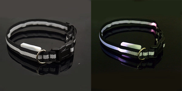 8 Color LED Pet Collar Flashing Light